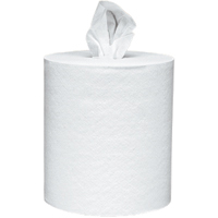 Center Pull CP TOWEL WHITE
2PLY 6C/7.6&quot;/600&#39; 
